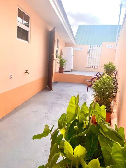 Centrally Located, Private, 1 Bedroom Apartment. Βίλλεμσταντ Εξωτερικό φωτογραφία